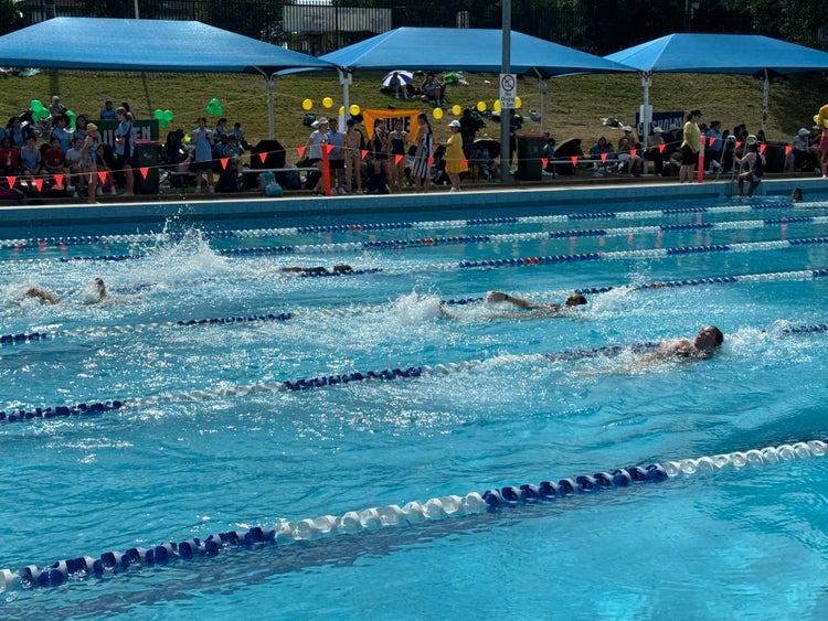 HPGE Physical Domain